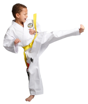 Dragon-squad-yellow-belt-side-kick